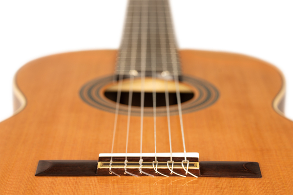 Ortega R20GWN-L, Zeder massiv / Walnuss, lefty, made in Spain